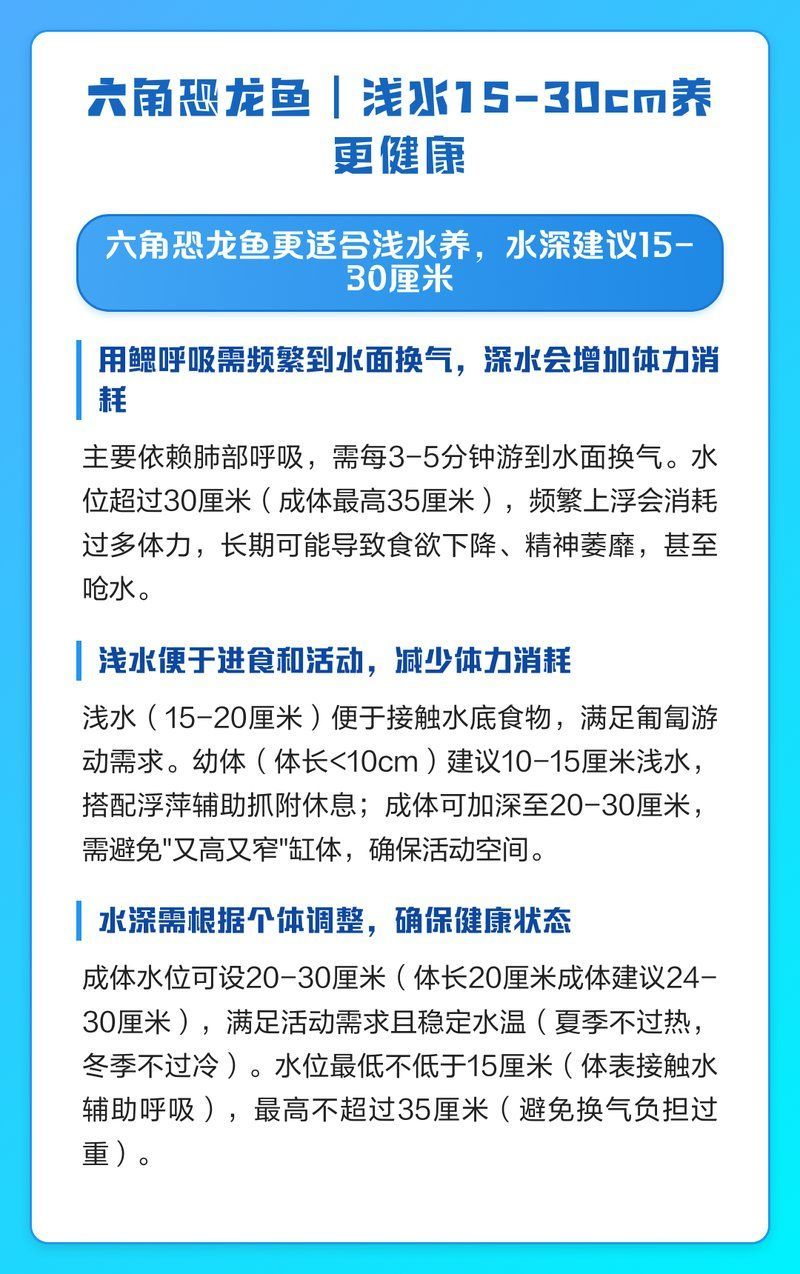 六角恐龍的最佳水位，六角恐龍分階段飼養水位對照表如何設置六角恐龍休息點