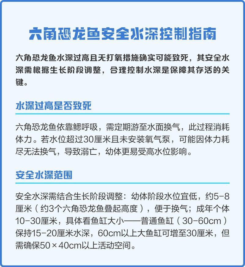 六角恐龍的最佳水位，六角恐龍分階段飼養水位對照表如何設置六角恐龍休息點