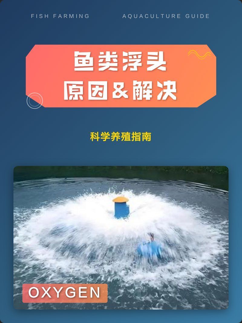 如何預防魚浮頭亂竄的發生，如何預防魚浮頭亂竄