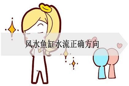 家里的魚突然死了玄學，家里的魚突然死了玄學，家中的幾條觀賞魚不幸死亡