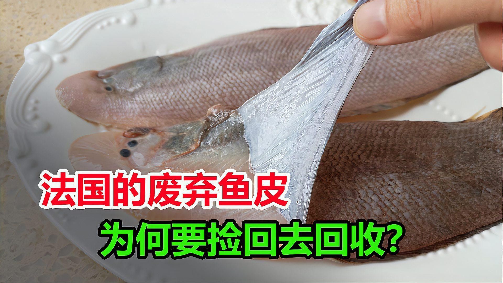 有哪些魚皮保護(hù)技巧，皮保護(hù)技巧包括：1.使用專用的魚皮保護(hù)劑，如魚皮粉等