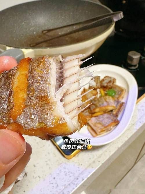 有哪些魚皮保護(hù)技巧，皮保護(hù)技巧包括：1.使用專用的魚皮保護(hù)劑，如魚皮粉等