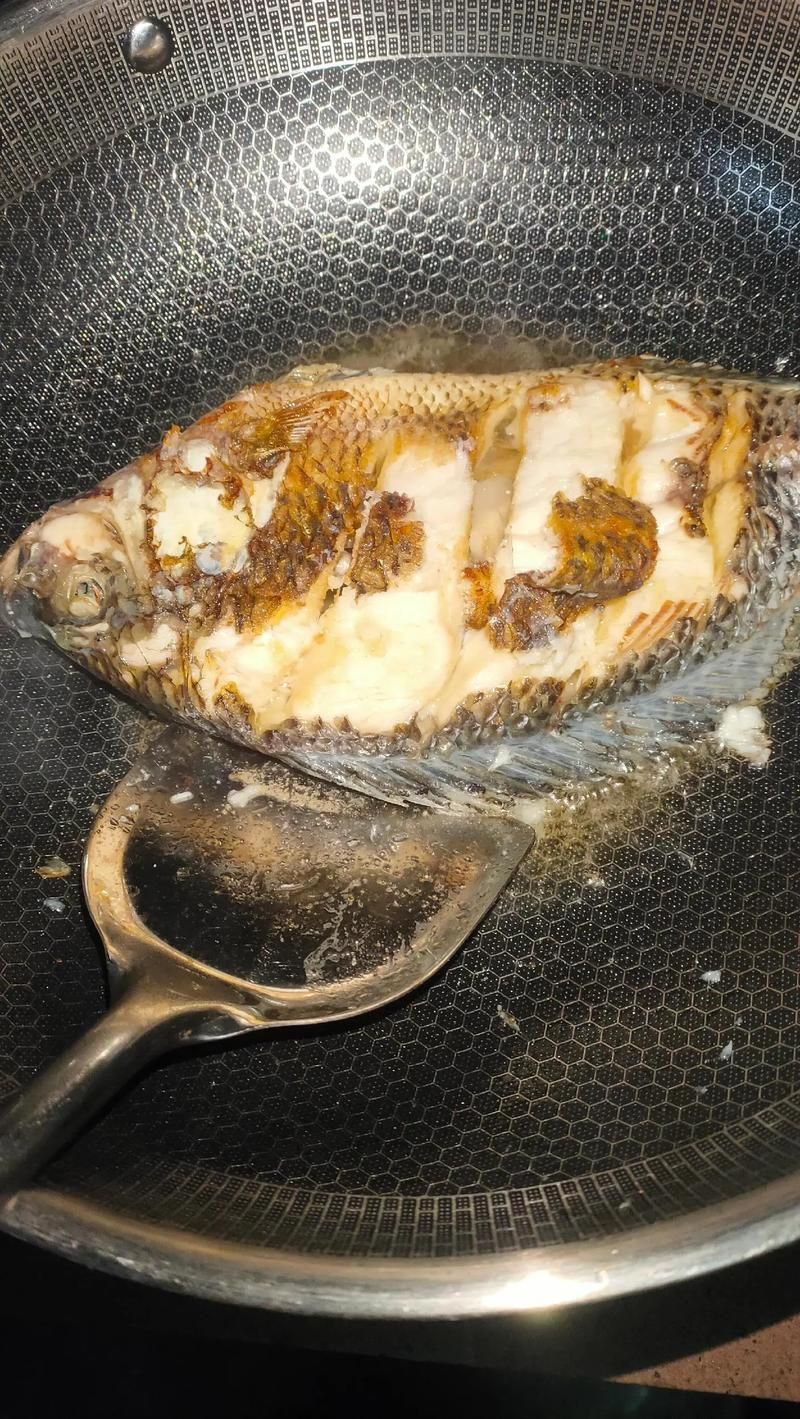 有哪些魚皮保護(hù)技巧，皮保護(hù)技巧包括：1.使用專用的魚皮保護(hù)劑，如魚皮粉等