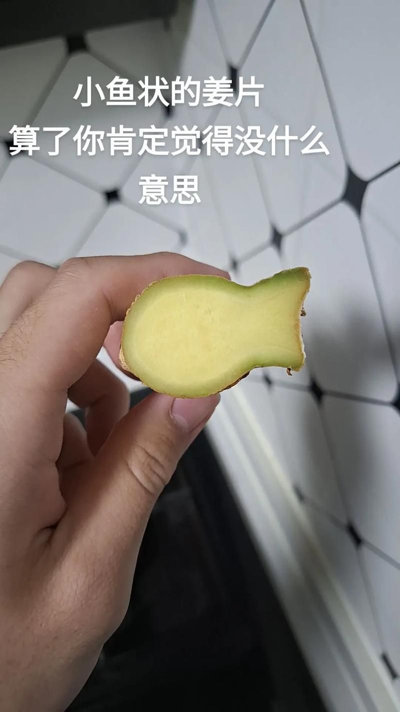 有哪些魚皮保護(hù)技巧，皮保護(hù)技巧包括：1.使用專用的魚皮保護(hù)劑，如魚皮粉等