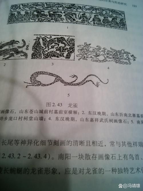 祥龍魚場的七紋巨鯉魚質量如何？，祥龍魚場的“七紋巨鯉魚”質量如何