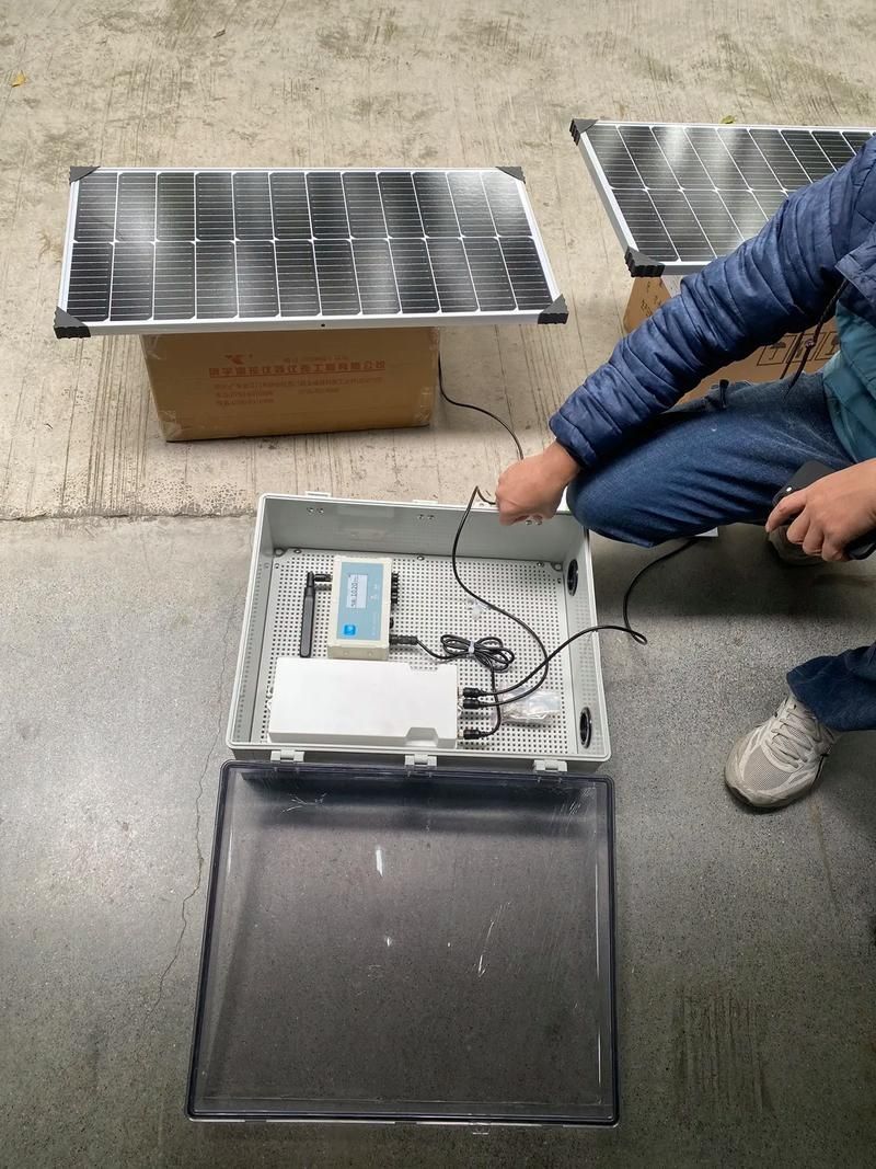 定安龍魚的養殖技術有哪些，定安龍魚養殖技術