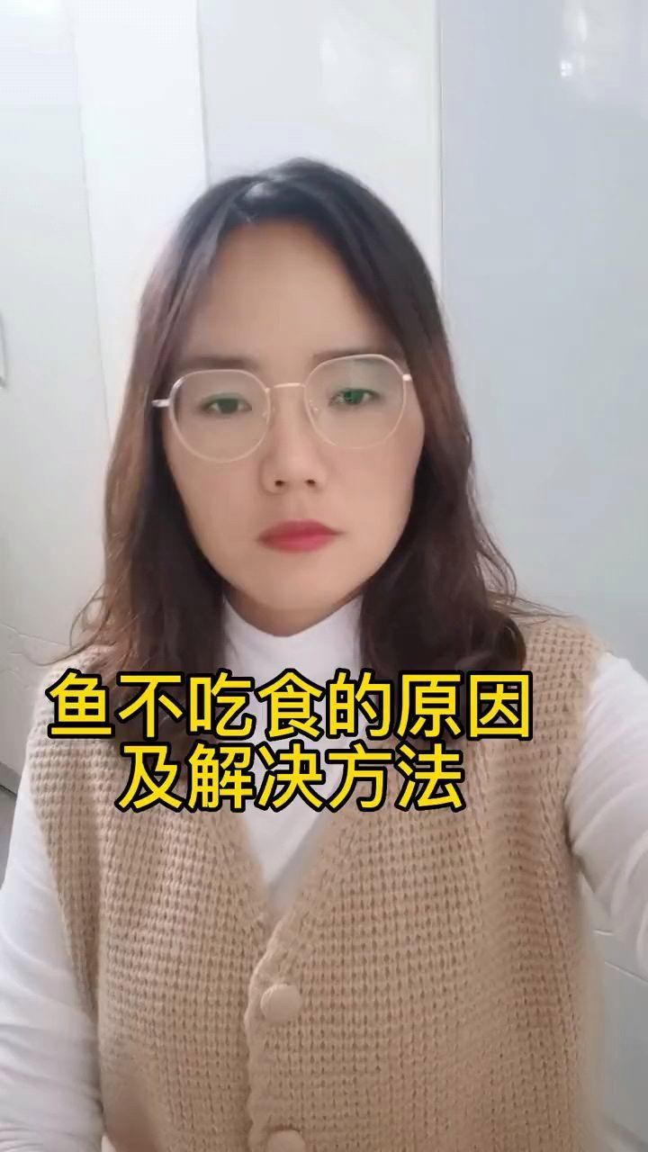 魚突然不吃食的6大原因，魚不吃食的6大原因及解決方法