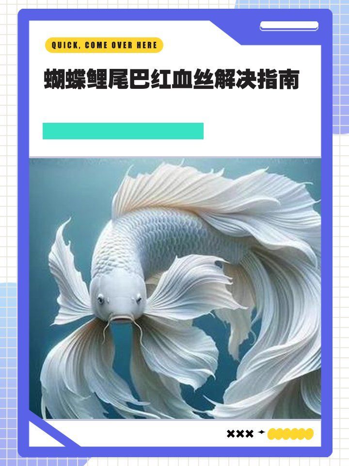 有哪些方法可以緩解魚尾充血，蝴蝶鯉魚尾充血怎么辦