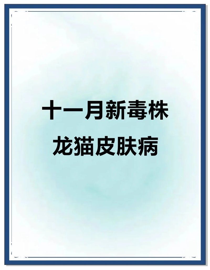 龍貓皮膚病如何治療，龍貓皮膚病怎么治療
