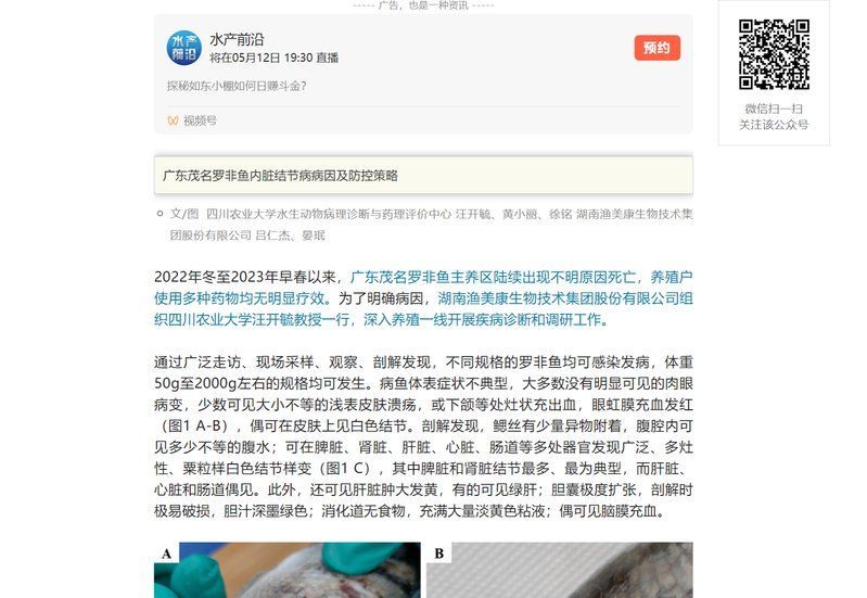 如何區(qū)分不同病因的魚類潰爛，如何區(qū)分不同病因魚類潰爛