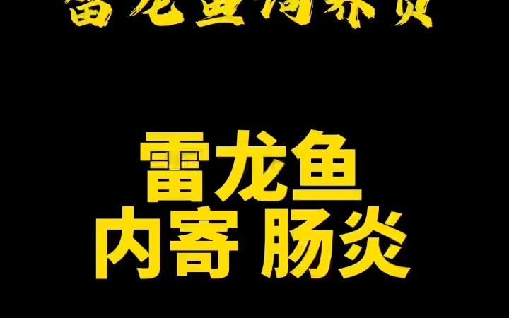 雷龍魚腸炎能自愈嗎，如何判斷雷龍魚腸炎是否嚴重？ 雷龍魚腸炎能自愈嗎，如何判斷雷龍魚腸炎是否嚴重？ 龍魚百科 第3張