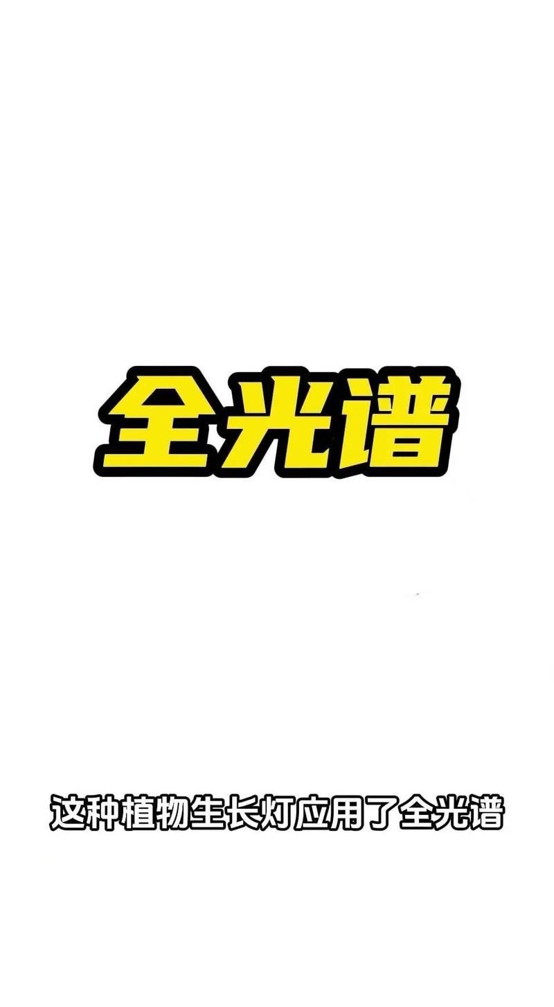 13000k燈對植物生長影響，13000k光譜分布特征 13000k燈對植物生長影響，13000k光譜分布特征 龍魚百科 第2張