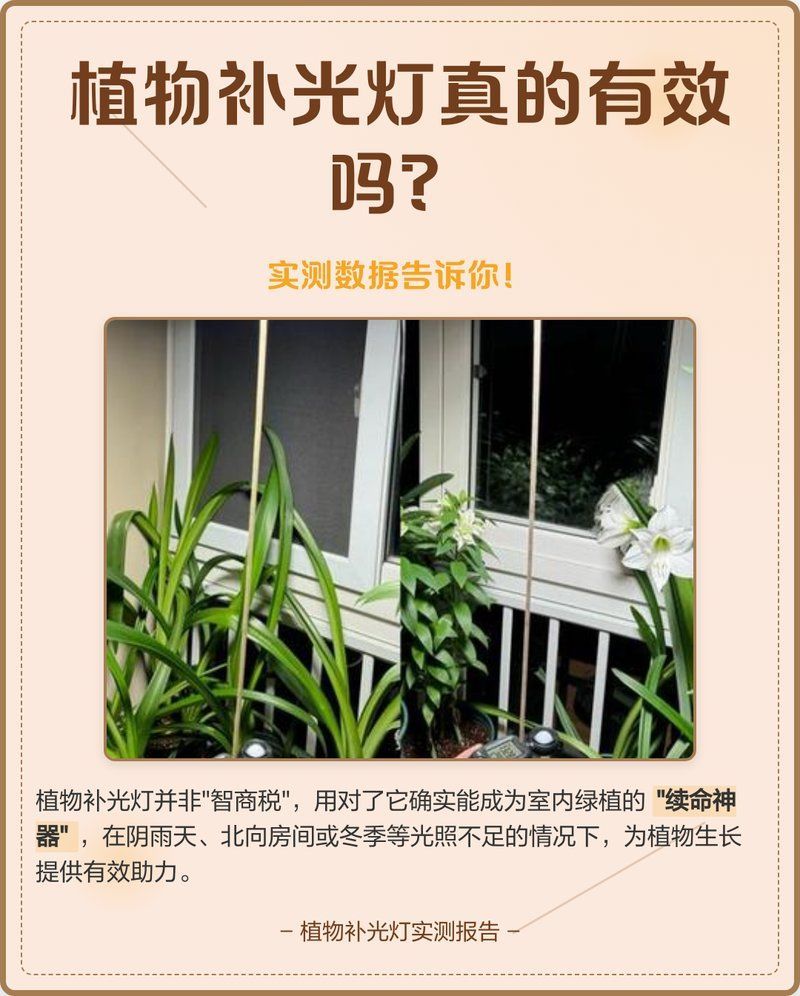 13000k燈對植物生長影響，13000k光譜分布特征