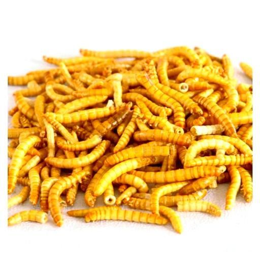 龍魚(yú)副食中哪種營(yíng)養(yǎng)價(jià)值最高，大麥蟲(chóng)的飼養(yǎng)方法，龍魚(yú)副食有哪些種類(lèi)，如何科學(xué)搭配龍魚(yú)副食？