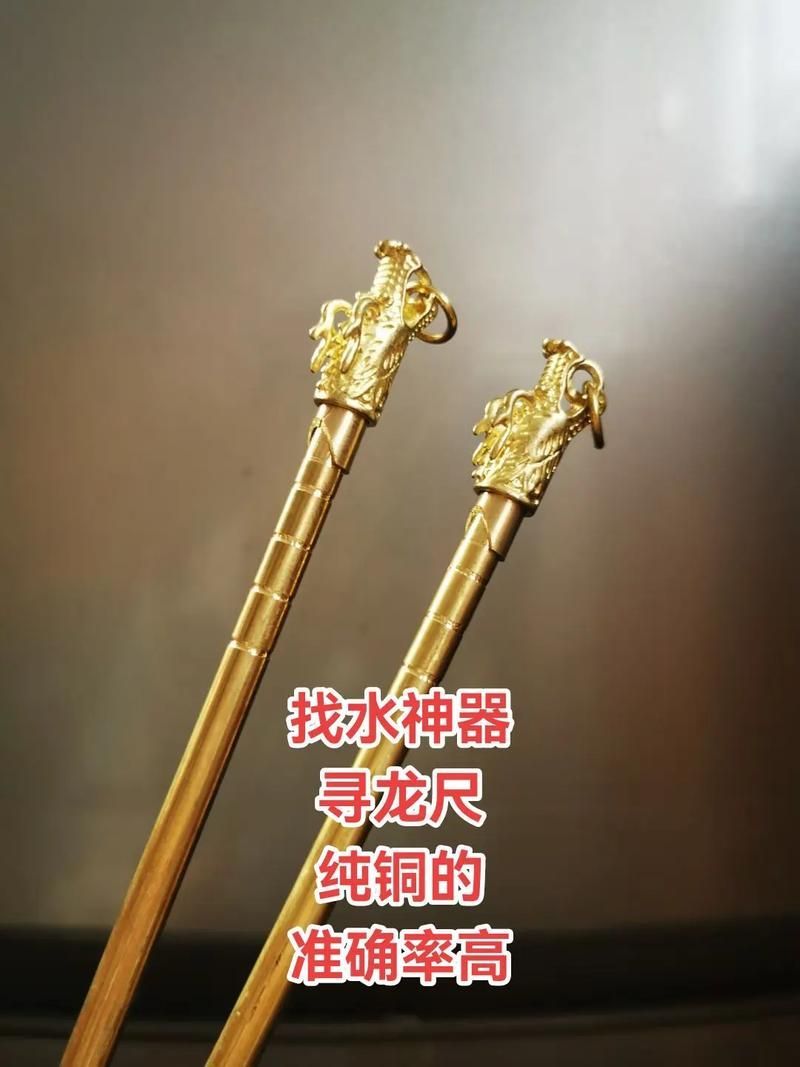 如何正確飼養(yǎng)龍魚,如何正確的飼養(yǎng)龍魚 龍魚百科 第9張 如何正確飼養(yǎng)龍魚,如何正確的飼養(yǎng)龍魚 如何正確飼養(yǎng)龍魚,如何正確的飼養(yǎng)龍魚 龍魚百科 第9張