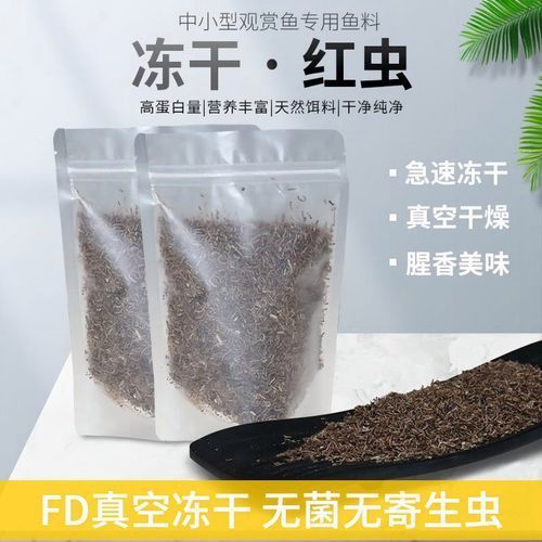 有哪些活餌適合小龍魚食用