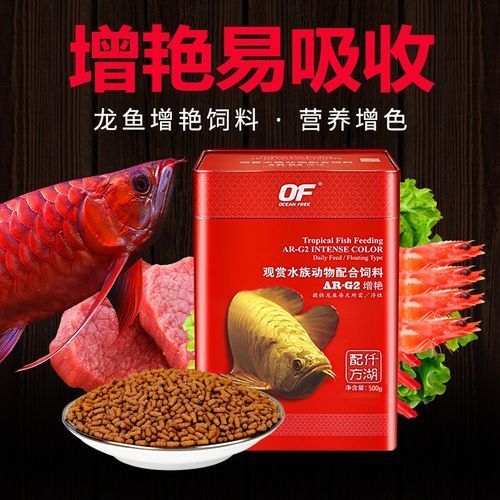 有哪些活餌適合小龍魚食用