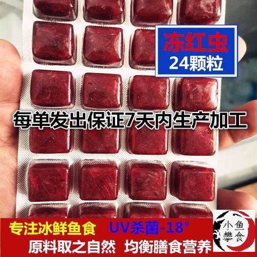 有哪些活餌適合小龍魚食用