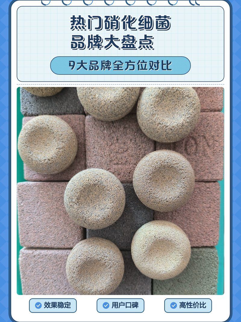 有哪些品牌硝化細菌值得推薦，硝化細菌產品在工業廢水處理領域具有廣泛應用前景