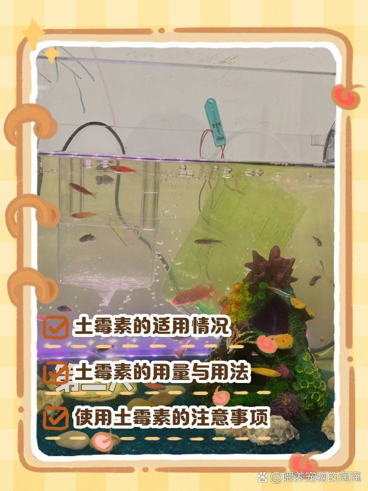 土霉素治療爛尾病的劑量是多少，土霉素治療爛尾病有什么成功案例