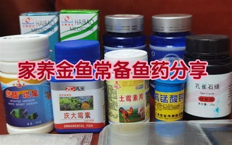如何正確使用銀龍魚專用藥？，銀龍魚專用藥使用指南
