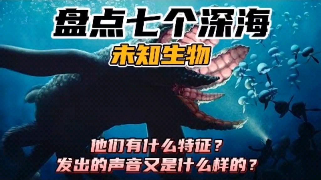 能否提供更多關(guān)于海洋不明生物的信息，海洋不明生物的探索與探索與探索與發(fā)現(xiàn)的神秘生物