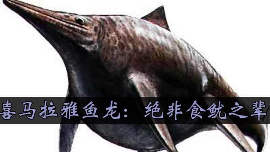 給我一些魚龍的真實圖片，魚龍有哪些著名的屬種