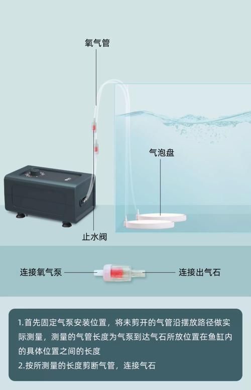 如何預防魚兒趴缸，養魚技術之魚兒趴缸