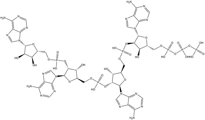 有哪些新型抗真菌藥物，2018年新型抗真菌藥物分子結構式、作用機制示意圖