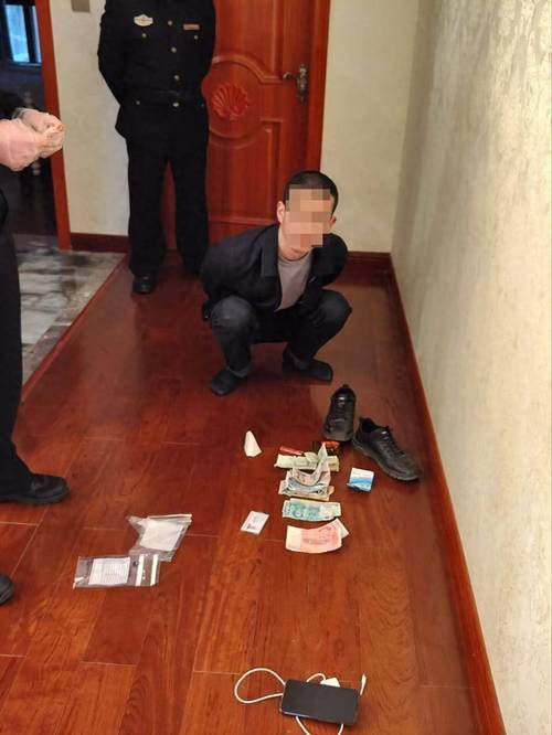 還有哪些類似偷龍魚的案件？，“偷龍魚”是什么意思