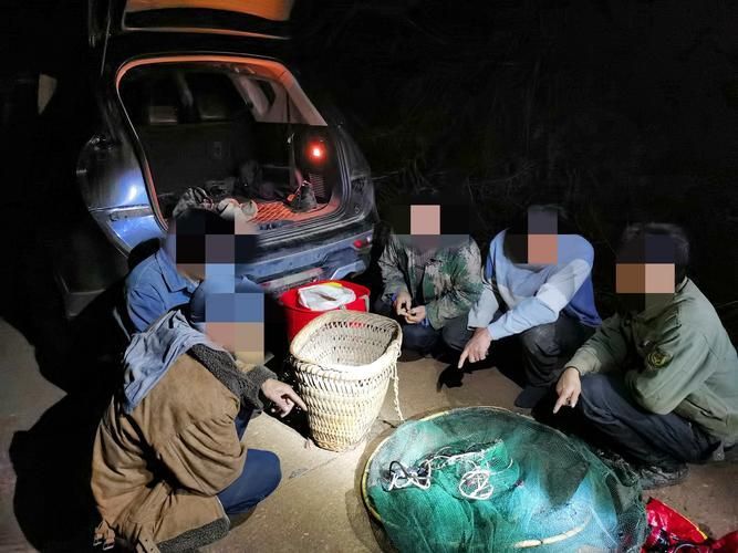 還有哪些類似偷龍魚的案件？，“偷龍魚”是什么意思