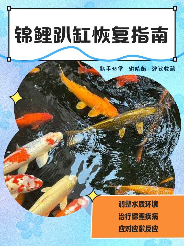 魚兒趴缸底后如何恢復，魚兒趴缸底后如何恢復正常生活狀態