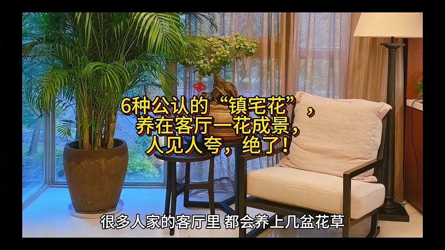 如何養護這些鎮宅聚財花卉，鎮宅聚財花卉養護技巧
