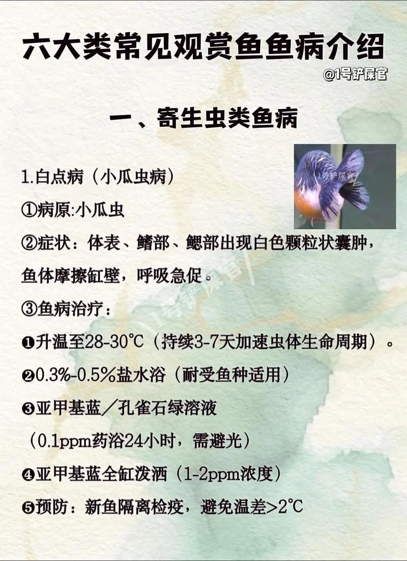 提供魚的常見(jiàn)病與防治圖片，關(guān)于魚類常見(jiàn)疾病及其防治方法的詳細(xì)解析