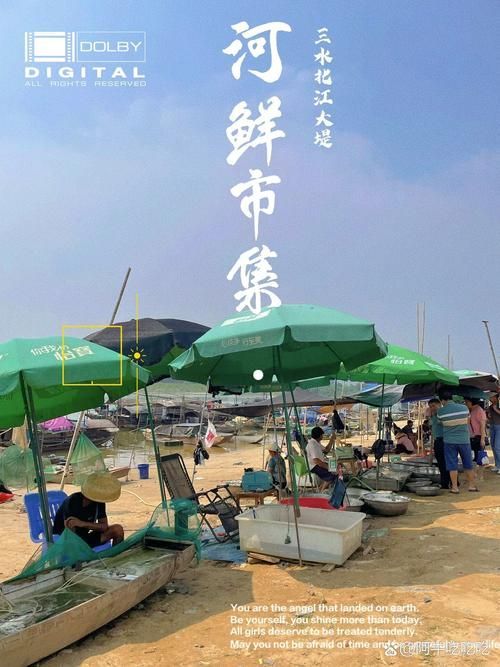 哪里可以購買到正宗的三水龍魚？，三水龍魚如何辨別正宗龍魚品種，如何辨別正宗龍魚品種