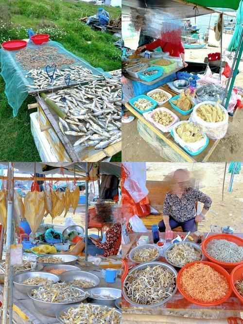 哪里可以購買到正宗的三水龍魚？，三水龍魚如何辨別正宗龍魚品種，如何辨別正宗龍魚品種