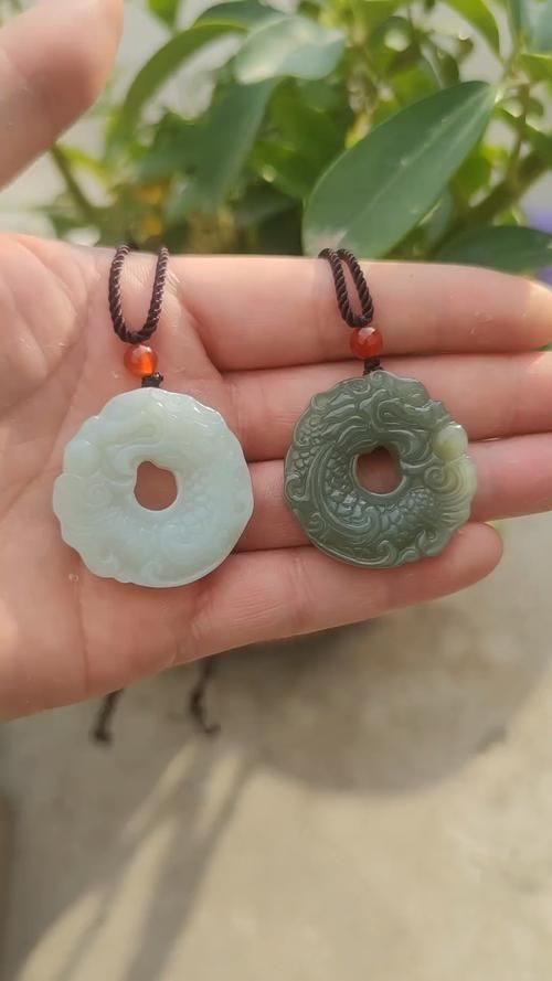 玉龍魚適合送給什么人？，玉龍魚的價格范圍是多少？