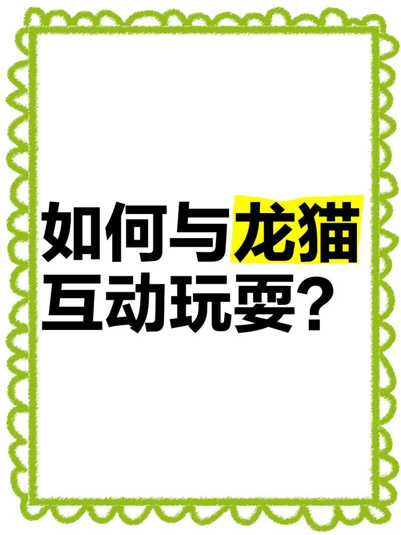 龍貓如何表達對主人的感情，龍貓與主人之間的情感表達對主人的信任和依賴性的行為