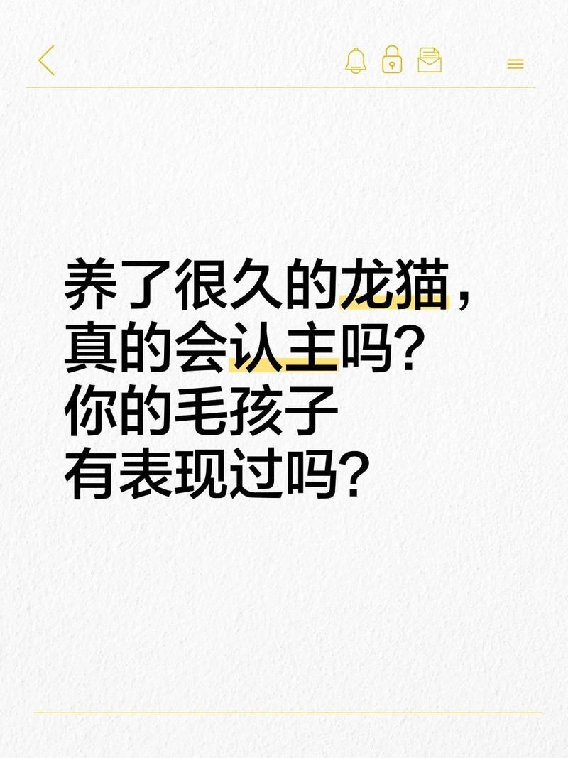 龍貓如何表達對主人的感情，龍貓與主人之間的情感表達對主人的信任和依賴性的行為