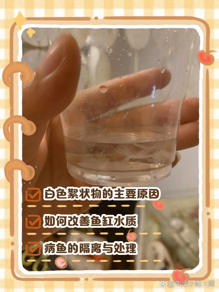 如何預防魚缸中的白色絮狀物？，魚缸中有白色絮狀物是什么原因
