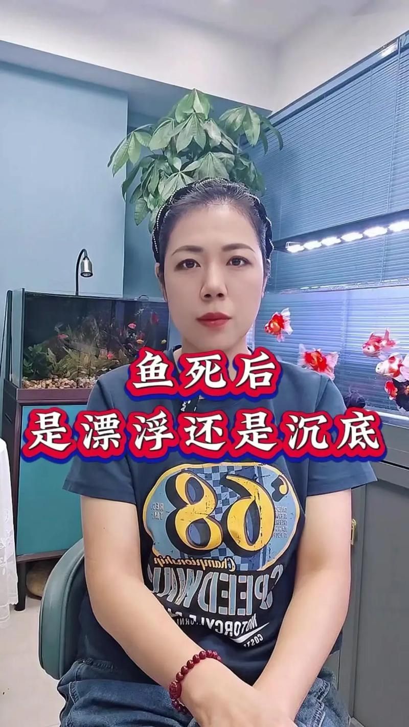 有沒有佛說魚安葬的圖片示例，佛教八吉祥中“雙魚”象征意義的圖文指南