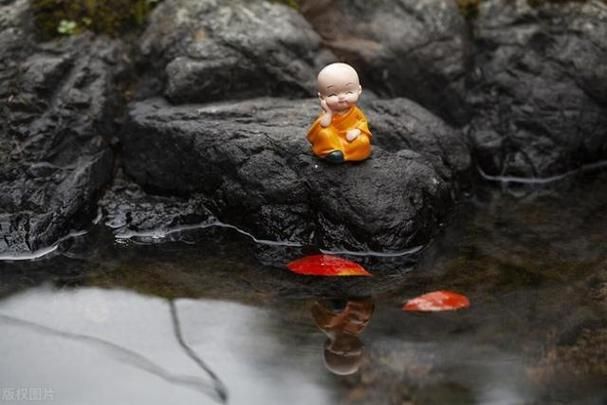 有沒有佛說魚安葬的圖片示例，佛教八吉祥中“雙魚”象征意義的圖文指南