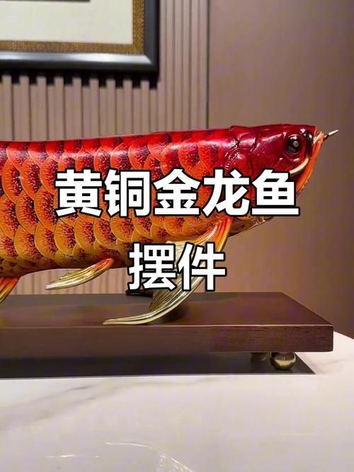 金龍魚擺件如何選擇材質，金龍魚擺件#金龍魚擺件#金龍魚擺件#金龍魚擺件