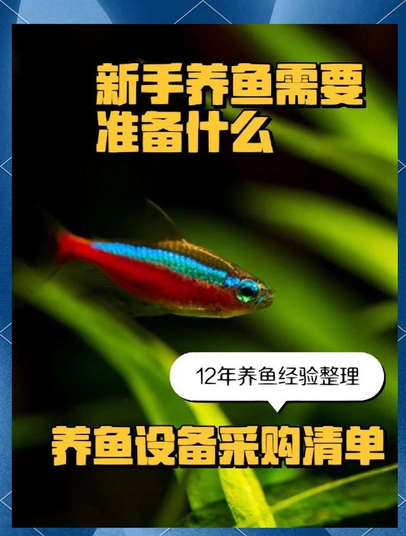 養(yǎng)魚需要哪些設備，養(yǎng)魚需要準備哪些設備？