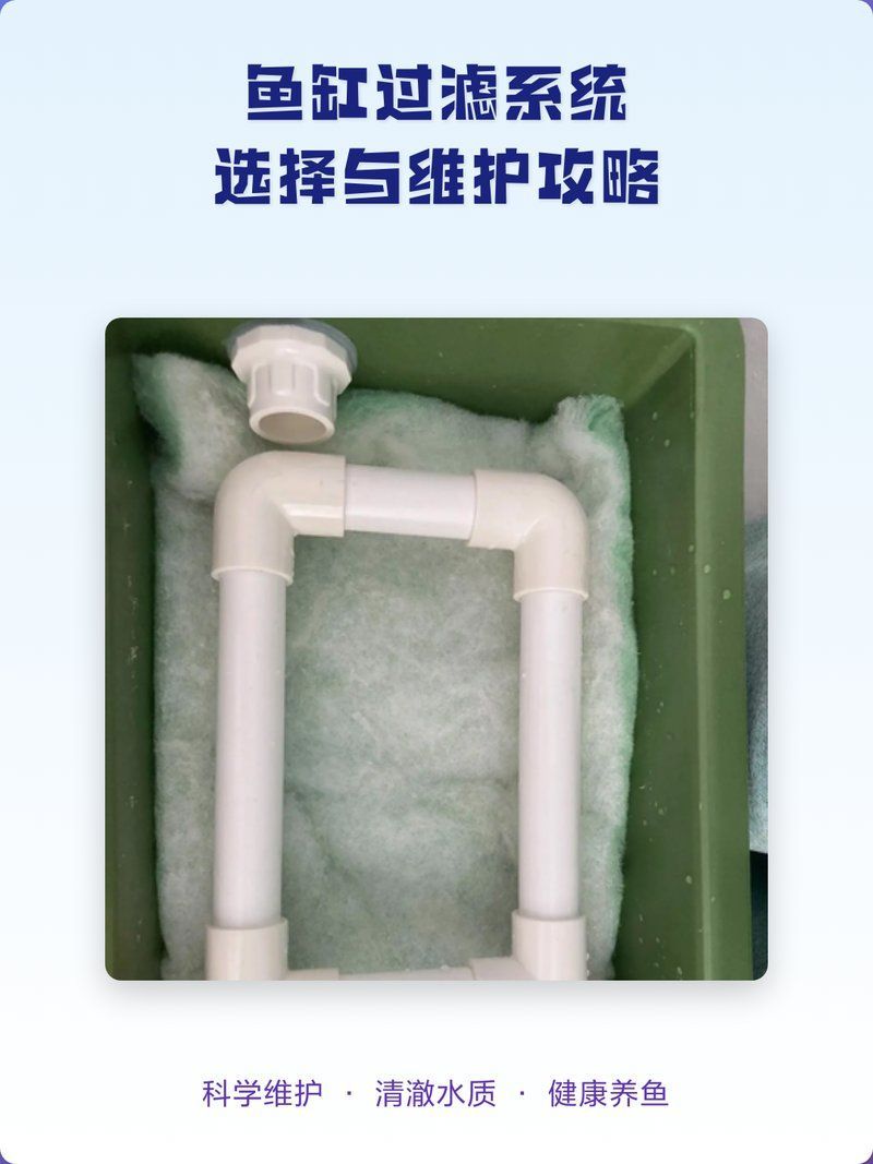 魚缸過濾系統如何配置，銀灰色的白最厲害,魚缸過濾系統選擇與維護攻略