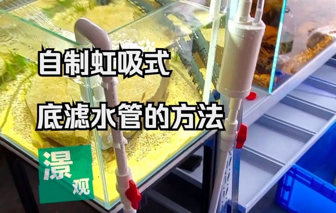 底濾系統如何制作，嗶哩嗶哩，如何設計底濾系統