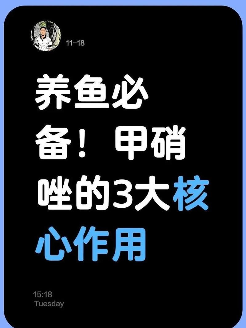 人用的甲硝唑可以給魚用嗎，甲硝唑對哪些魚類疾病最有效
