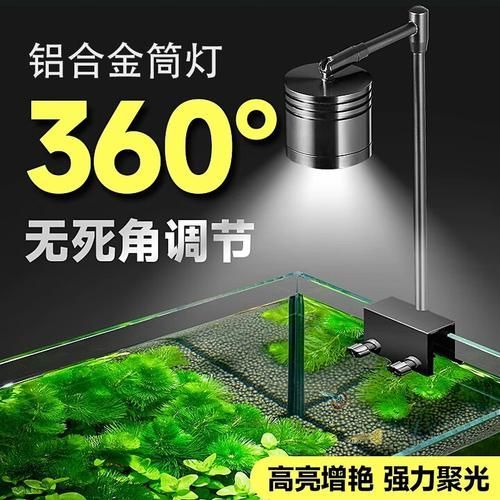 推薦幾款性價比高的龍魚專用燈，幾款高性價比的龍魚專用燈推薦