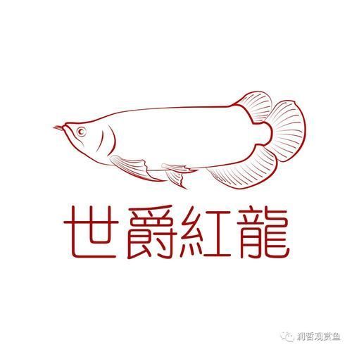 品牌紅龍魚，如何辨別紅龍魚的真偽