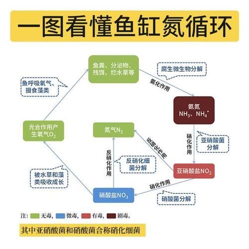 如何判斷自己是否適合養(yǎng)魚，如何判斷自己是否適合養(yǎng)魚——科學(xué)自測(cè)指南（1000字內(nèi)）